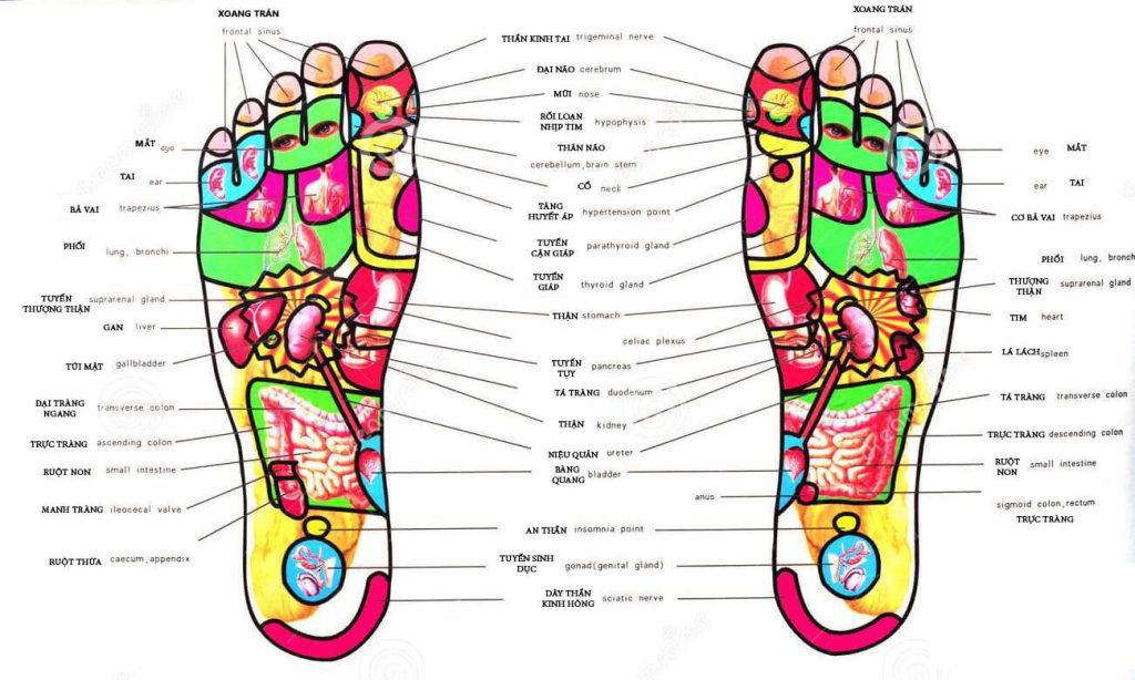 Bấm huyệt chân lưu thông máu giúp điều trị một số bệnh